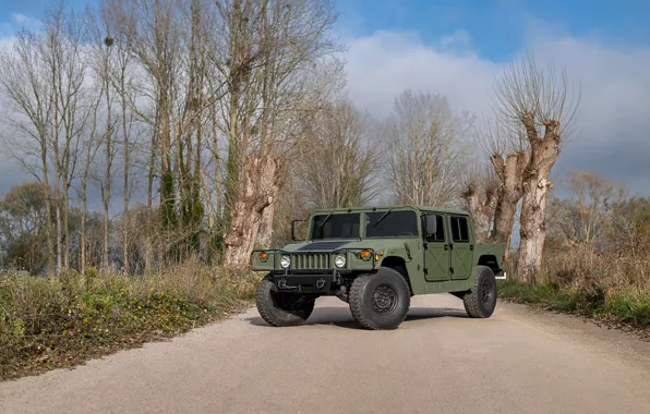 Green, Hummer